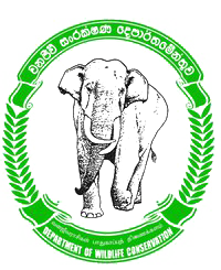 Department of Wildlife Conservation