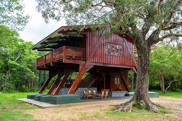 kokomote bungalow wilpattu